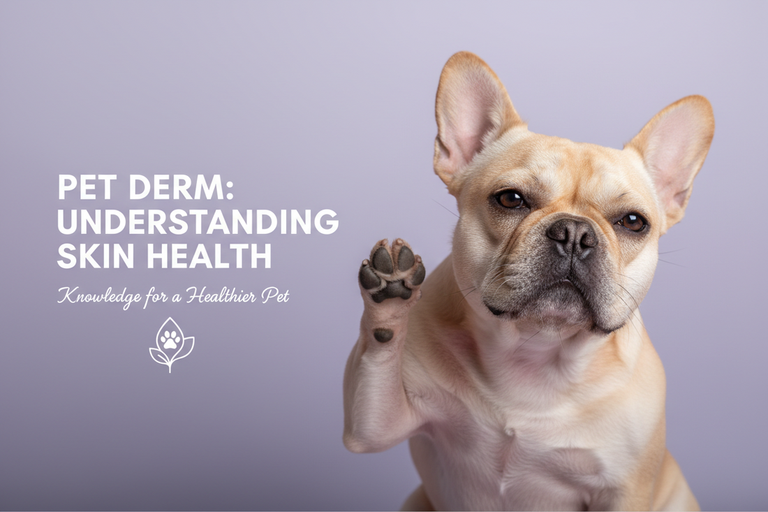 The "Itchy Frenchie" Protocol: Why Your Pup Can’t Stop Scratching (And How to Help)