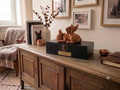 Dog Memorial Urn | Handcrafted Wooden Urn