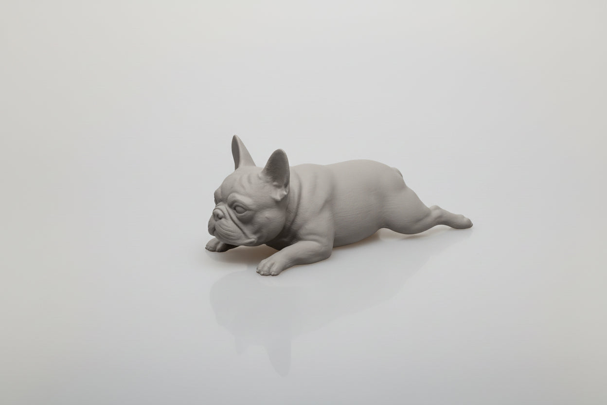 3D model of a dog on a transparent background